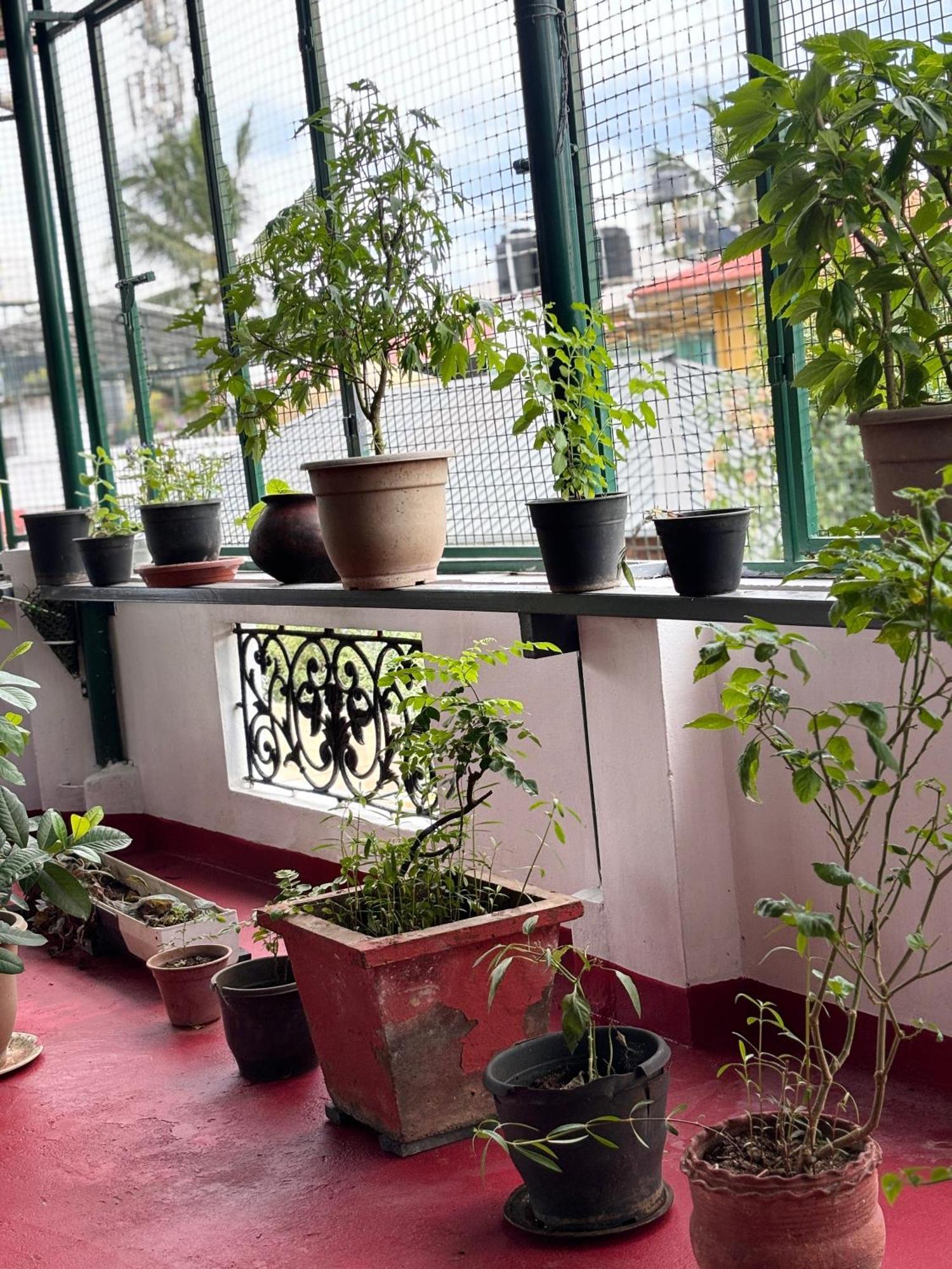 Beza Homestay Коччи Экстерьер фото